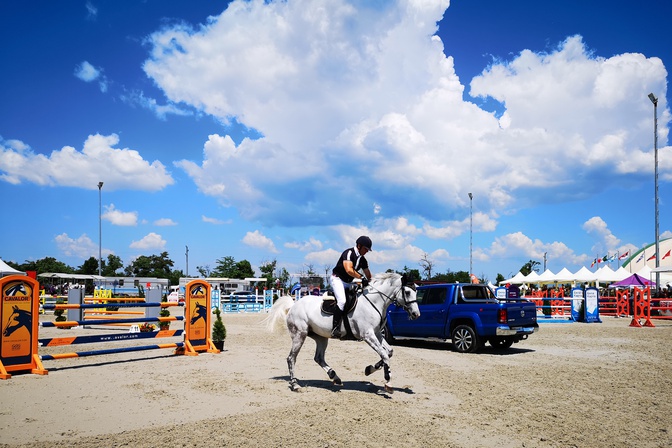 Amarok White Horse 